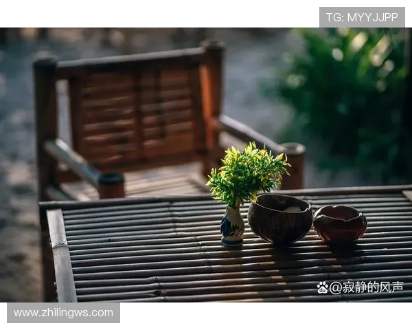 白昼冷光：在喧嚣中寻觅内心的静谧