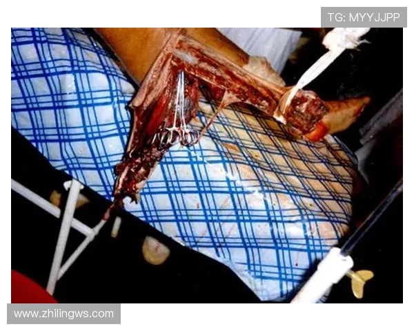 伊拉克战争十年：硝烟散尽，伤痕犹在