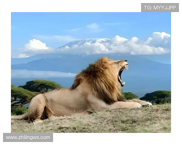 “河东狮吼”：穿越千年的爱情回响，不止是咆哮，更是心底的温柔