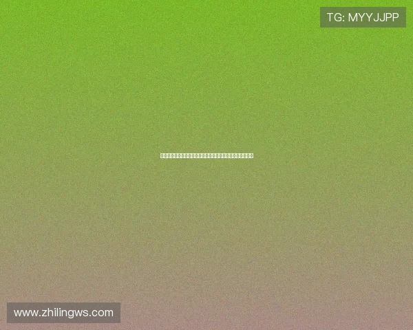 《猫汤》：一曲温情治愈的灵魂挽歌，游戏与艺术的完美融合